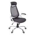 Germain Larivière Fauteuils de bureau Fauteuils de bureau 379163